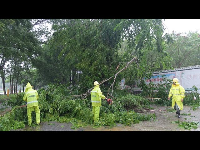 Live: China's southern provinces prepare as Typhoon Wipha edges closer