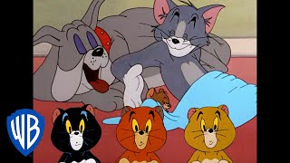 Tom a Jerry - Mohou žít v míru?