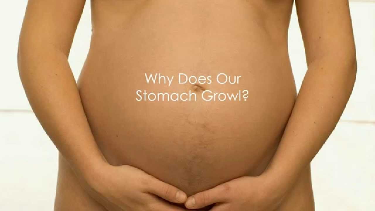 why-does-our-stomach-growl-youtube