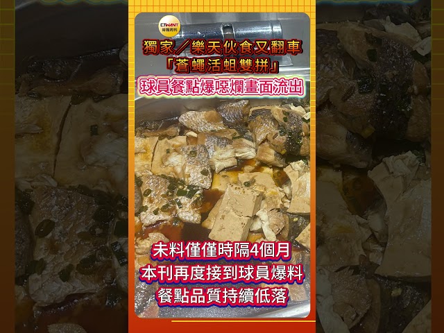 獨家／樂天伙食又翻車「蒼蠅活蛆雙拼」 球員餐點爆噁爛畫面流出