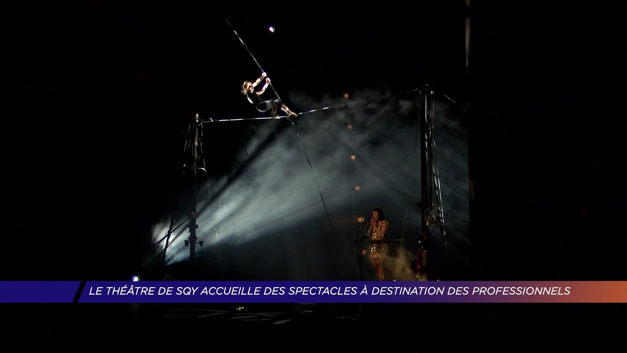 Yvelines | Le théâtre de SQY accueille des spectacles à destination des professionnels