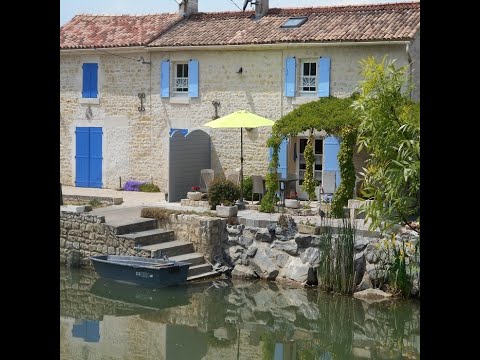 Property video