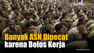 Kepala BKN Sebut Banyak ASN Dipecat karena Bolos Kerja