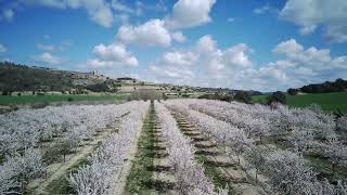Passejant pels blancs a La Curullada