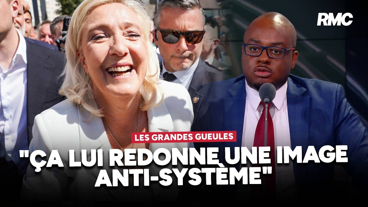 "Elle a utilisé une magouille, une bassesse politique...Ça lui redonne une image anti-système"