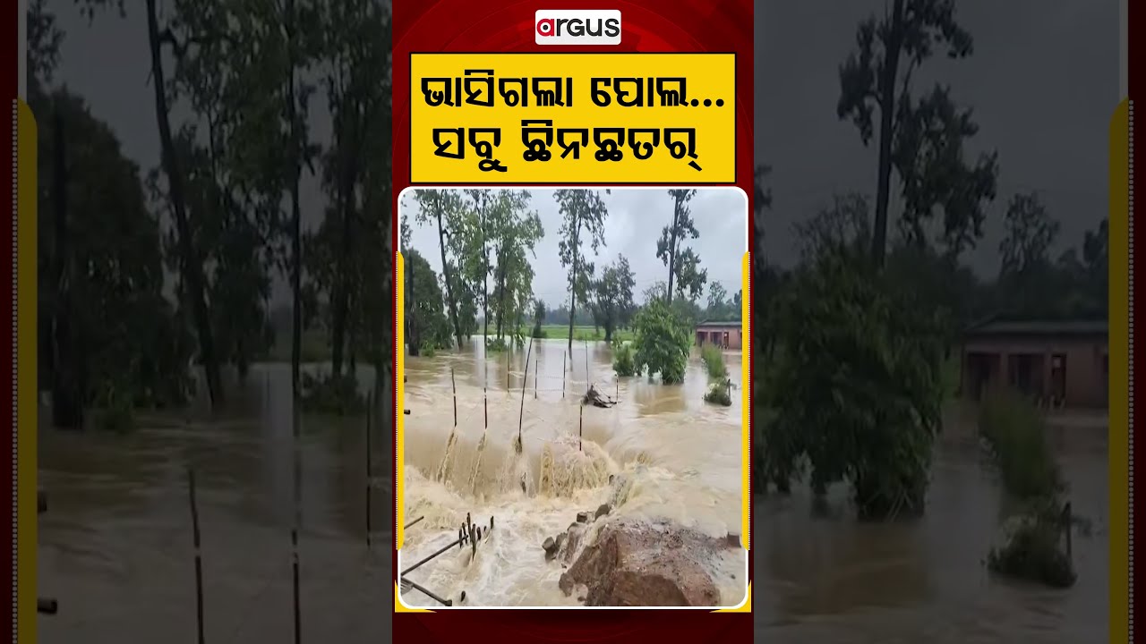 ଭାସିଗଲା ପୋଲ... ସବୁ ଛିନଛତର୍‌...| Odisha Flood | Bridge Collapsed | Heavy Rainfall | Argus News