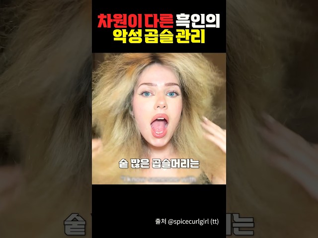 차원이 다른 악성 곱슬 관리