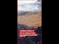 Jabalpur Admin Cracks Down On Stubble Burning, Encourages Farmers To Adopt Modern Techniques