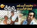 వాడి లుంగీ అనుకొని చీమల్ని నా లుంగీలో వేసావ్ | Brahmanandam Comedy Scenes | NavvulaTV