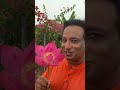 Have you ever tried Lotus plant for Cooking the root the popped seeds of lotus flower phool Makhana