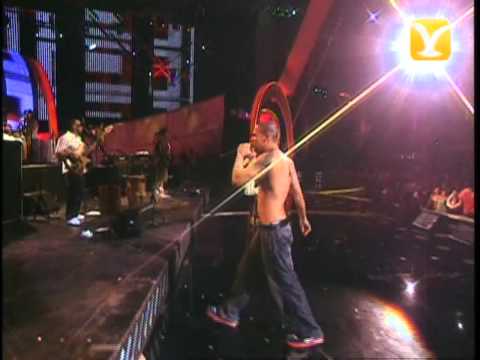 Calle 13, Atrévete, Festival de Viña 2008