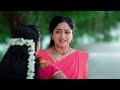నేను అమ్మోరు వచ్చినట్టు నటించనన్న | Trinayani | Full Ep 1218 | Zee Telugu | 20 Apr 2024  - 20:38 min - News - Video