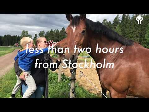 Property video