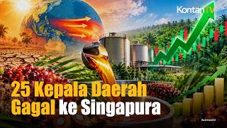 El Nino Bikin Harga CPO Meroket 6 Saham Sawit Berpotensi Cuan pada 2027