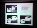 Bartlett International Lecture Series 2013-14 // Sarah Franceschelli