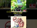 ఉస్మానియా కాలేజీలో ర్యాగింగ్ కలకలం.. 12 మందిపై కేసు..| Uproar over ragging at Osmania College |hmtv