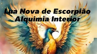 veja-mais-videos