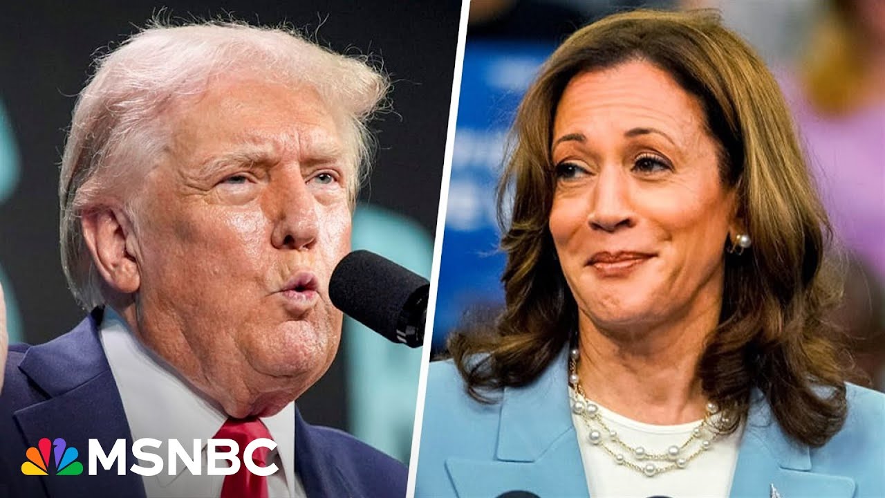 Will Trump campaign calling Harris-Walz ticket 'dangerously liberal' land with Americans?