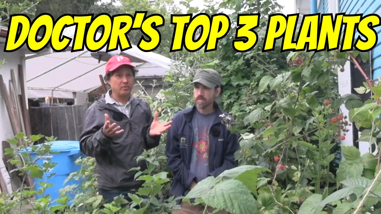 MD Reveals 3 Plants You Should Grow to Help Reverse Chronic Disease