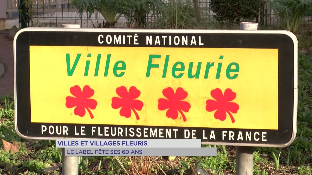 Yvelines | Villes et villages fleuris : le label fête ses 60 ans