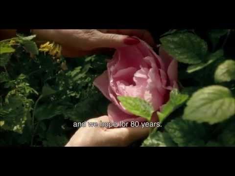 Garden Lovers'