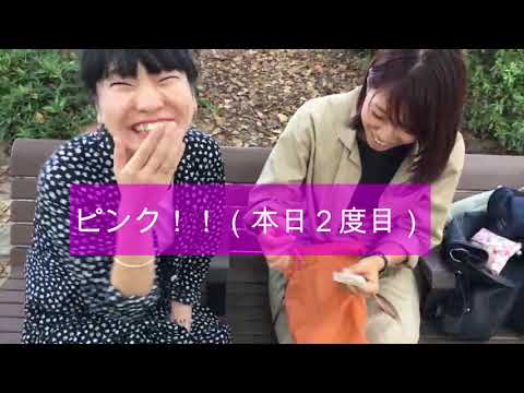 【お誕生日企画】第32回「PERO TV」【あららぎ先生を500円でときめかせろ!】