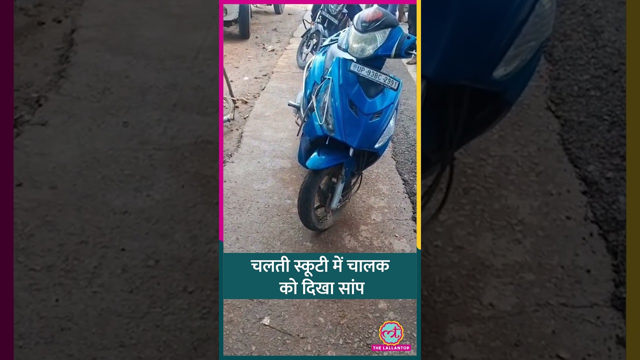 Jhansi में चलती स्कूटी से अचानक निकल पड़ा ज़हरीला सांप, घबराया चालक #Shorts