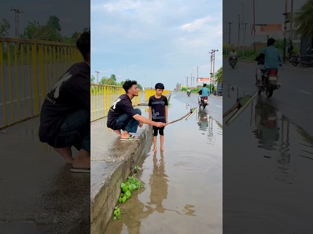 Monish Pagel Hi Hai #shortsfeed #funny #comedy #shortvideos #cutebaby #viralvideo