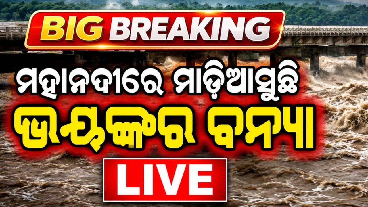 🔴Big Breaking: ମାଡିଆସୁଛି ମହାନଦୀରେ ବନ୍ୟା | Flood Odisha | Mahanadi Flood | Odisha | Argus News