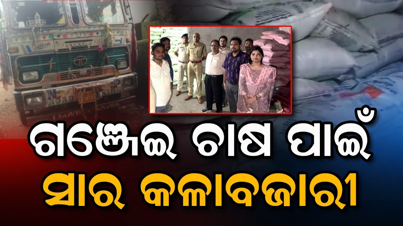 ଗଞ୍ଜେଇ ଚାଷ ପାଇଁ ସାର କଳାବଜାରୀ | Baliguda News | DAPFertilizer Seized | Ganja Cultivation | Argus News
