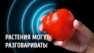 Новые археологические открытия, которые шокировали поклонников истории