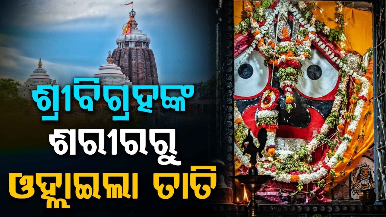 Anasara Dashami: Lord Jagannath to Perform Chaka Bije Today, Rajabaidya Prepare Medicine |Argus News