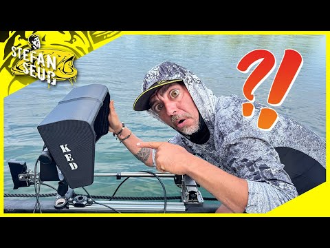 Now the FISH have no CHANCE⁉️| I FIND and CATCH all the FISH 🎣