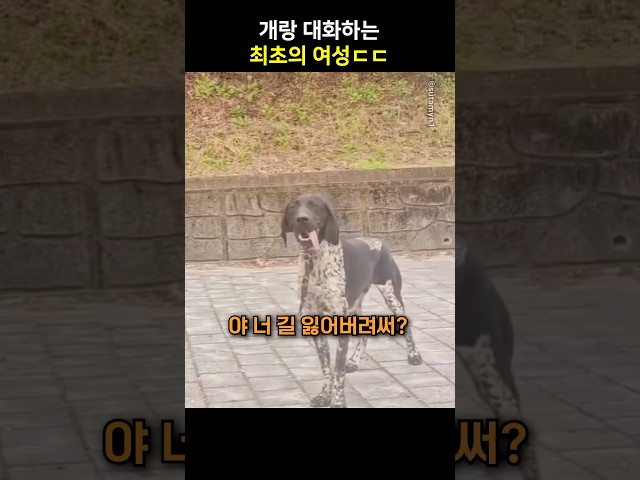 개랑 대화하는 최초의 여성ㄷㄷ