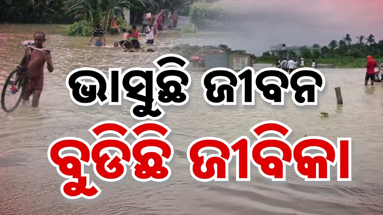 🔴Live | ଭାସୁଛି ଜୀବନ ବୁଡ଼ିଛି ଜୀବିକା | Odisha Flood Update | Odisha Flood Crisis | Argus News