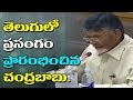 CM Chandrababu Speaks about Natural Farming in UNO