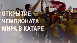 Личное: Стартует чемпионат мира в Катаре. Обстрелы ЗАЭС | НОВОСТИ