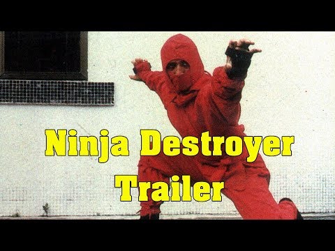 Ninja Destroyer'