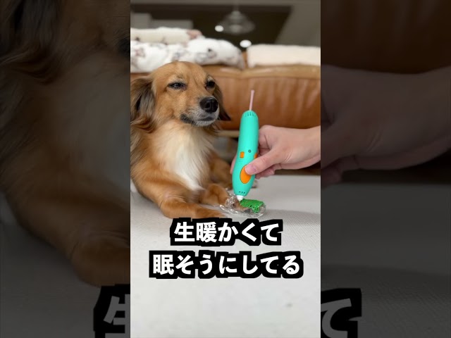 立体にかけるペンを使えば靴が作れるはず！