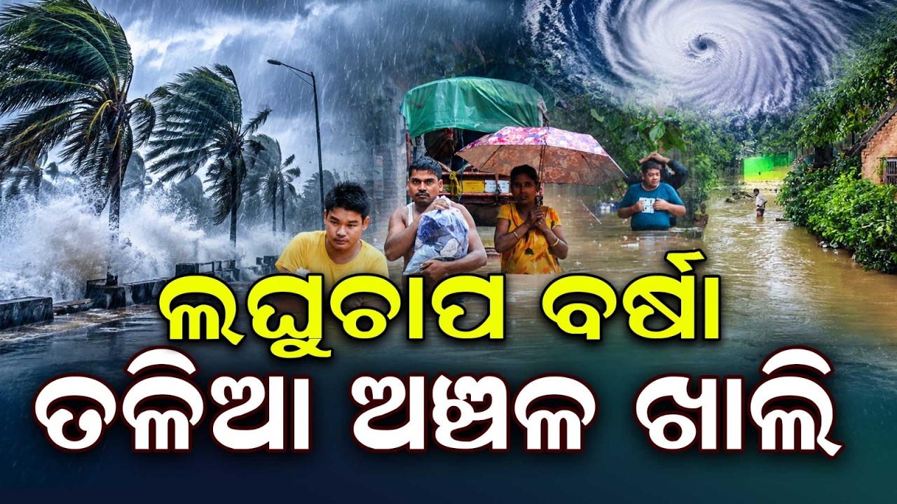 Heavy Rain Alert: High Alert In Low-Lying & Coastal Areas Of Odisha | Argus News
