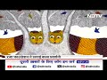 Gond Community की ख़ास कला जो दुनिया भर में है मशहूर | NDTV India  - 03:49 min - News - Video