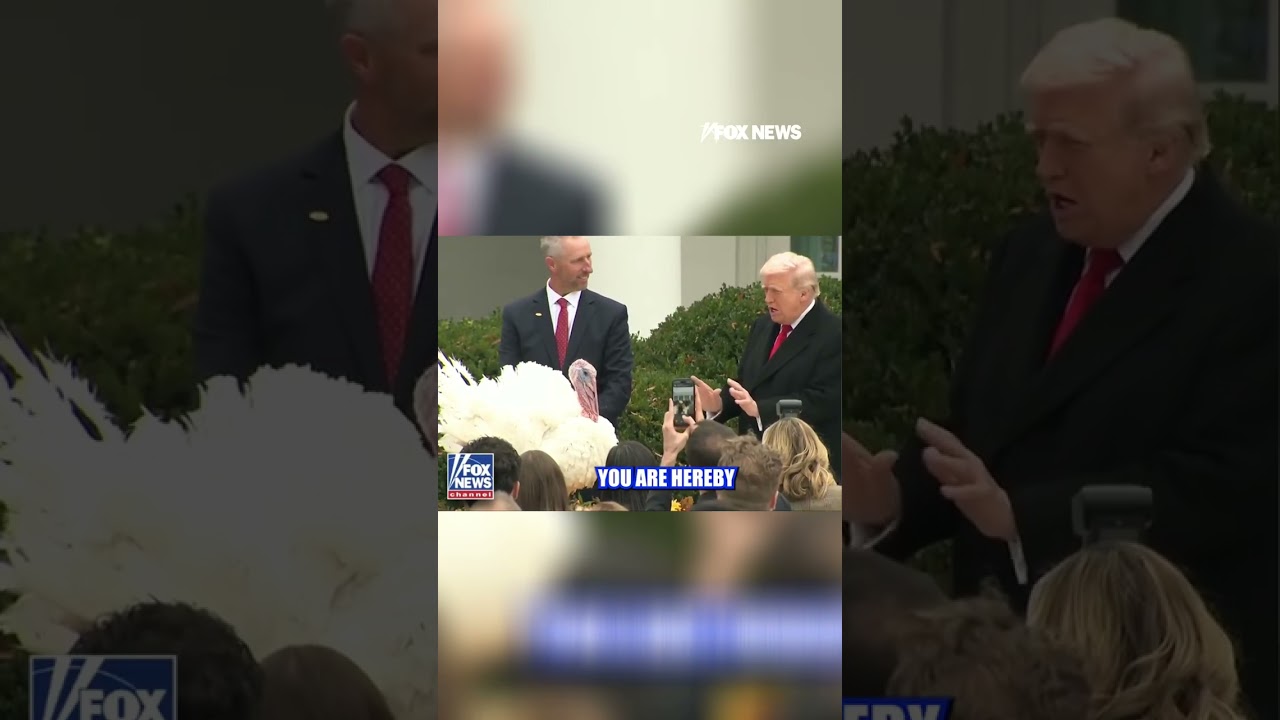 TURKEY SAVING TRUMP: President officially pardons turkeys ahead of Thanksgiving #trump #shorts