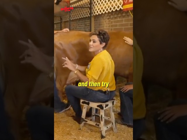 Conservative Woman Leaves Reporter SPEECHLESS