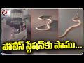Snake Hulchul At Godavarikhani Police Station | Peddapalli District | V6 News