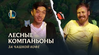 Лига легенд обзор предсезона