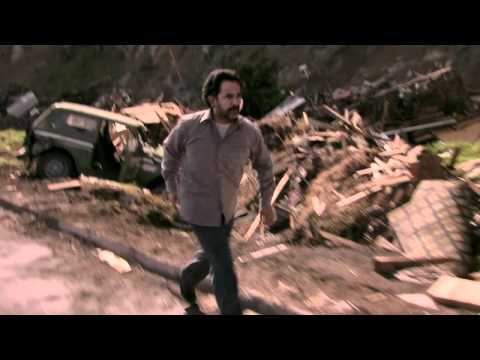 El año del tigre'