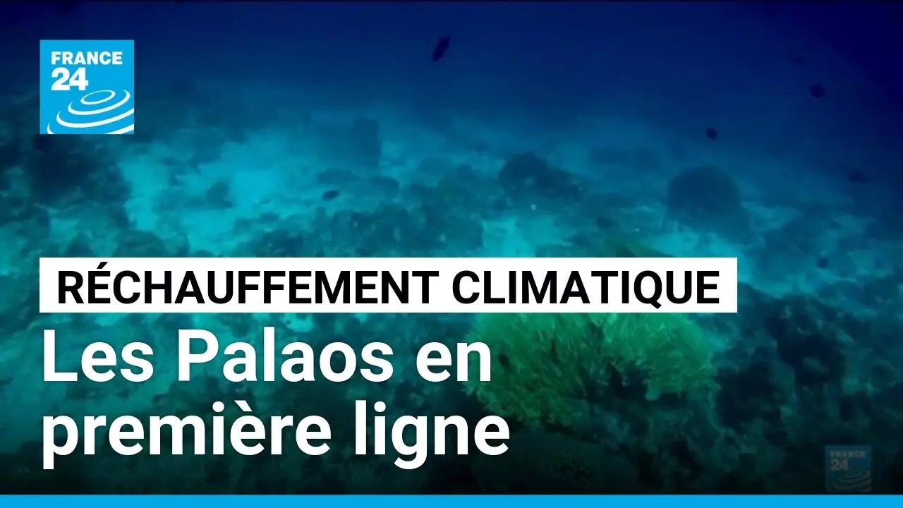 Réchauffement climatique : les Palaos, îles du Pacifique, en première ligne • FRANCE 24
