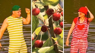 Spievankovo - Leto v Spievankove