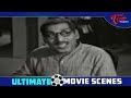 పెళ్లి చూపులు కామెడీ మామూలుగా ఉండదు..| NTR Comedy Scenes | Telugu Movie Comedy Scenes | NavvulaTV  - 08:34 min - News - Video