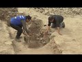Pre-Inca mummies found in Lima neighborhood  - 01:30 min - News - Video